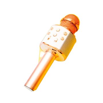 Party Mic